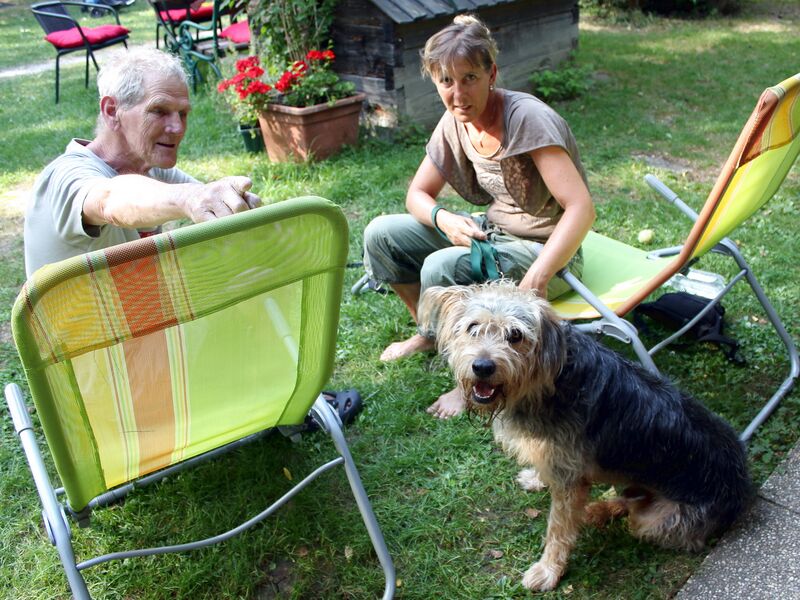 Datei:SH Hund Billi Familie.jpg
