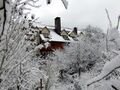 Südgarten im ersten Winter