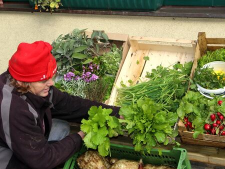 Basis der veganen Küche - die Ernte im Naturgarten