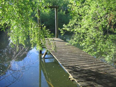 Steg am Steinschaler Teich