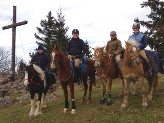 Gipfelsieg mit Pferden - Eisenstein 2012