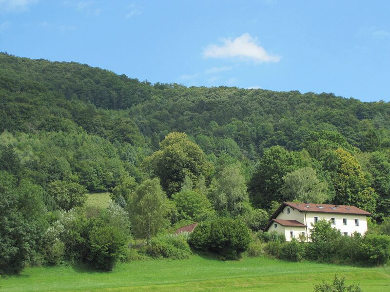 Datei:HKW im Grünen.jpg