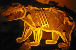 Erich der Höhlenbär