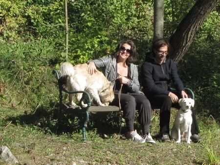 Gäste mit Hunden am Bankerl