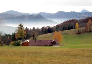 Loicheck im Herbst - Talnebel