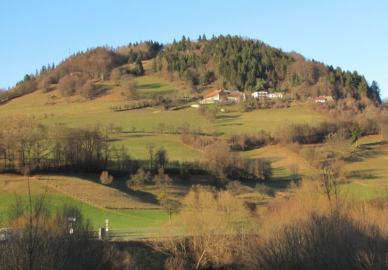 Datei:Fronberg Winter ohne Schnee.jpg