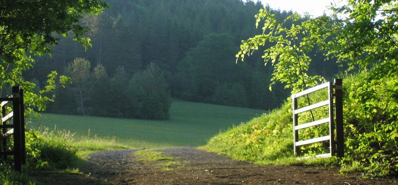 Datei:Gatter auf Loicheck.jpg