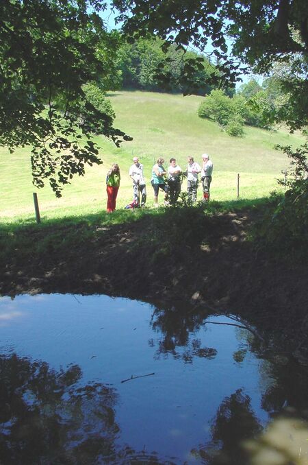 Beschattung Bärenthaler Lockn