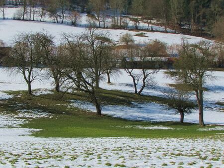 Streuobst beim Zauner März 2013