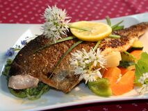 Fisch mitr Bärlauchblüte