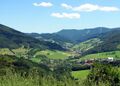 Blick auf Tradigist