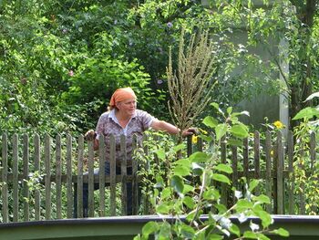 Biogärtnerin Frieda im Mostiniumgarten