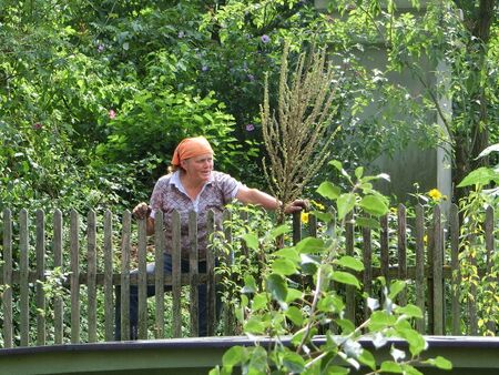 Biogärtnerin Frieda im Mostiniumgarten