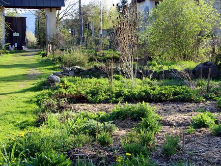 Produktionsgarten im April