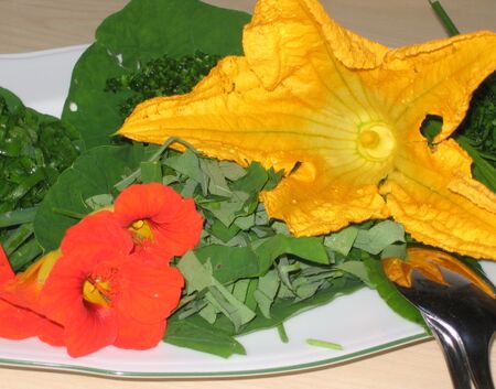 Wildkräutersalat mit Kürbisblüte und Kapuzinerkresse-Blüten