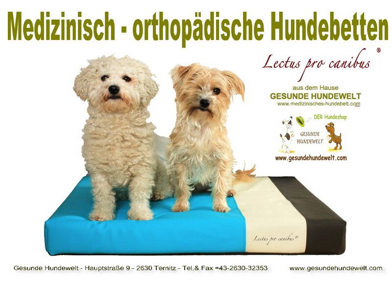 Datei:Gesunde Hundewelt 900px.jpg