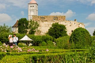 Schallaburg - Garten mit Turm