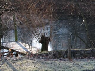 Winter am Steinschaler Teich