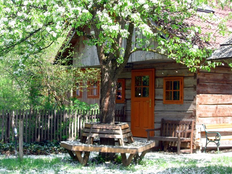 Datei:SH Z20 blühend Birnbaum.jpg