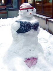 Schneedirndl von Johanna und Cecilia