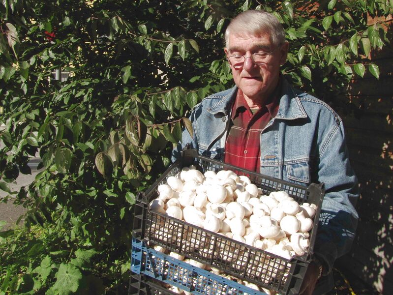 Datei:SK-Weissenabacher Champignon.jpg