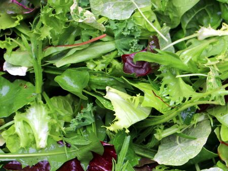 Wildkräutermischung