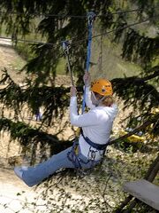 Flying Fox (Incentive)