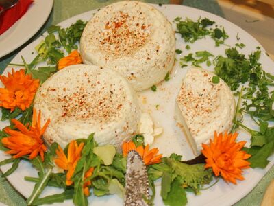 rigght Dirndltaler Frischkäse