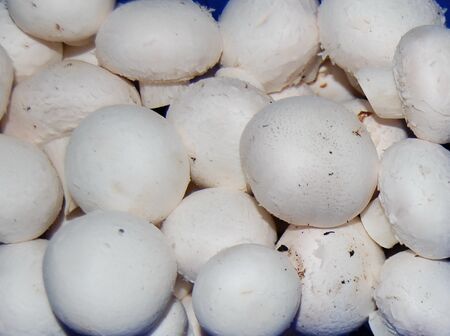 Champignons in Verkaufstasse