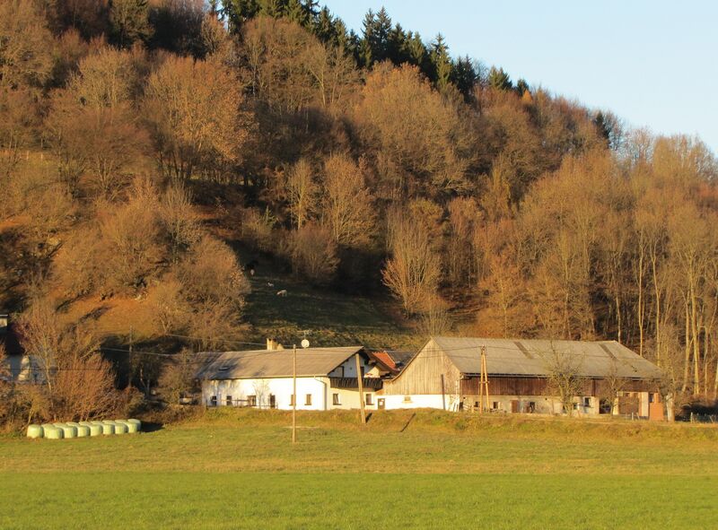 Datei:Geburtshaus König Herbst.jpg