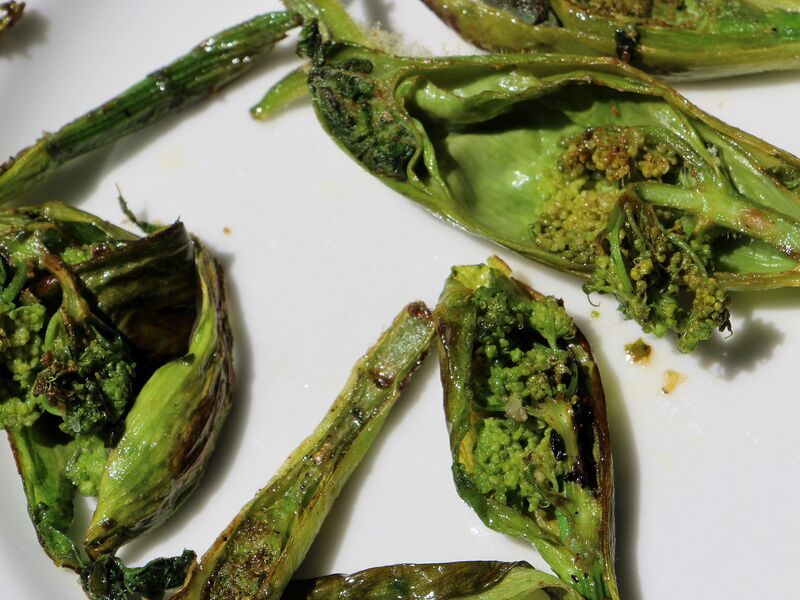 Datei:SG Bärenklau gebraten.jpg