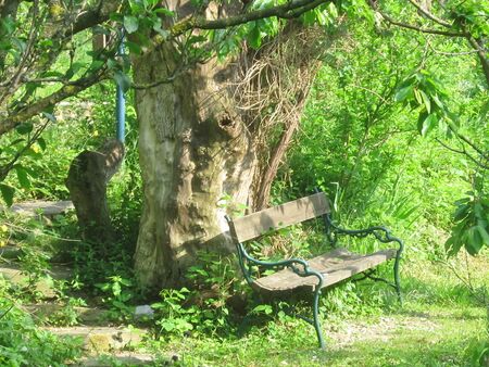 Südgartenbank beim Biotop