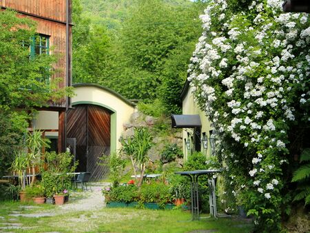 Garten beim Mostinium im Sommer - ideal zum Entspannen in der Pause