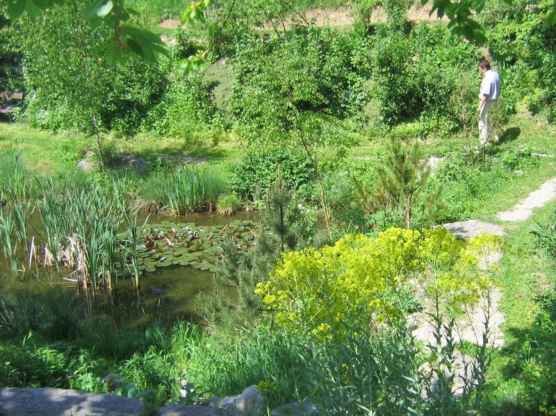 Datei:SH Südgartenbiotop9.jpg