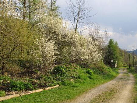 Zugang zum Teichareal