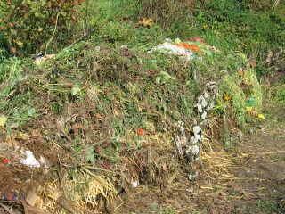 Kreslaufwirtschaft mit Kompost