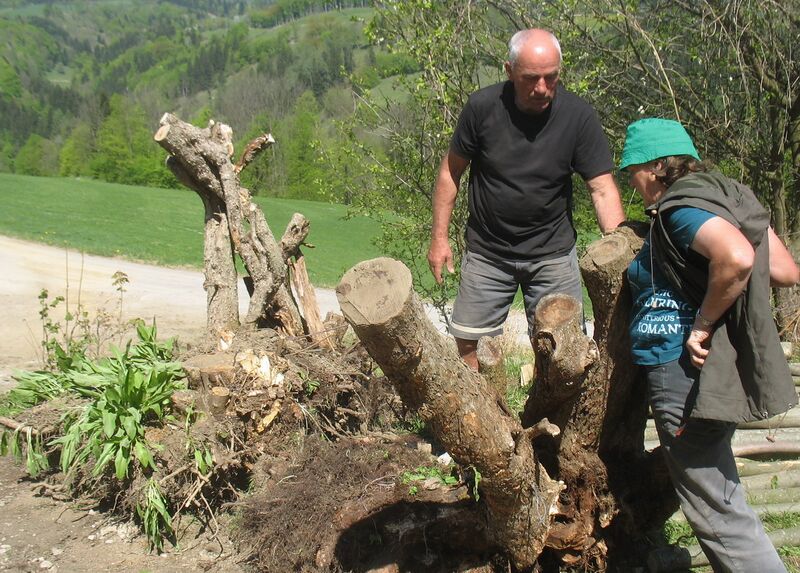 Datei:Alte Dirndl versetzen 03.jpg