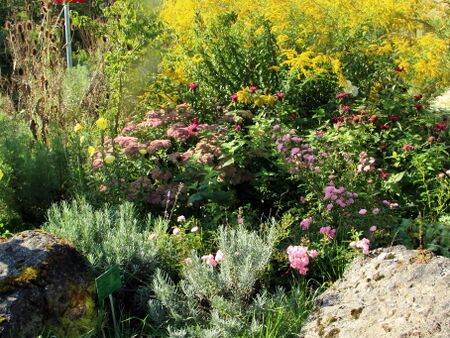 Rabattlbegrünung bei der MAriazellerbahn