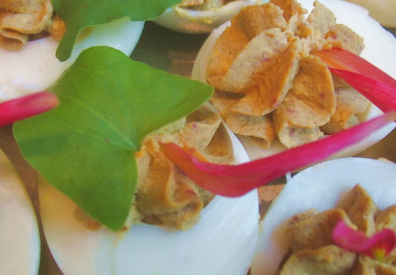 Datei:SK gef Eier Schildampfer.jpg