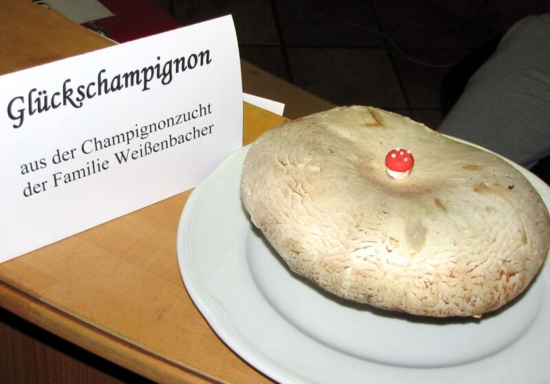 Datei:Glücks-Champignon 2010.jpg
