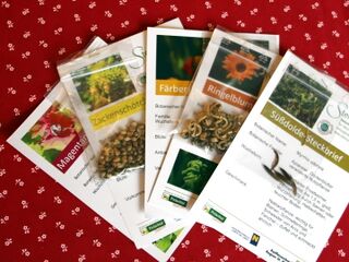 Steinschaler Samenkarten für Wildkräuter und einige Raritäten
