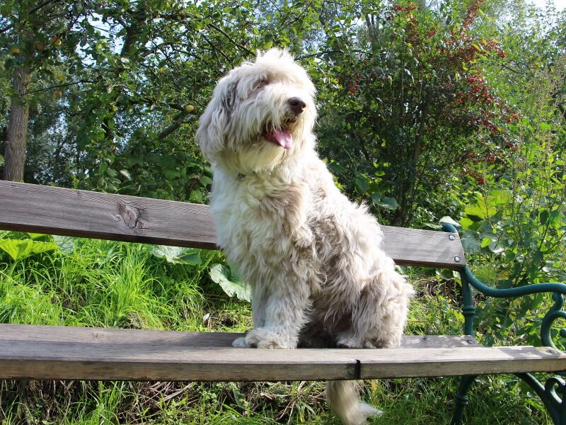 Datei:SG Paula auf Bank.jpg