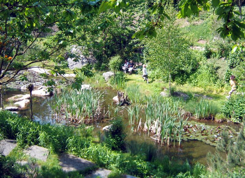 Datei:SH Südgartenbiotop87.jpg