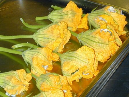 Steinschaler Blütenküche: gefüllte Zucchini-Blüten