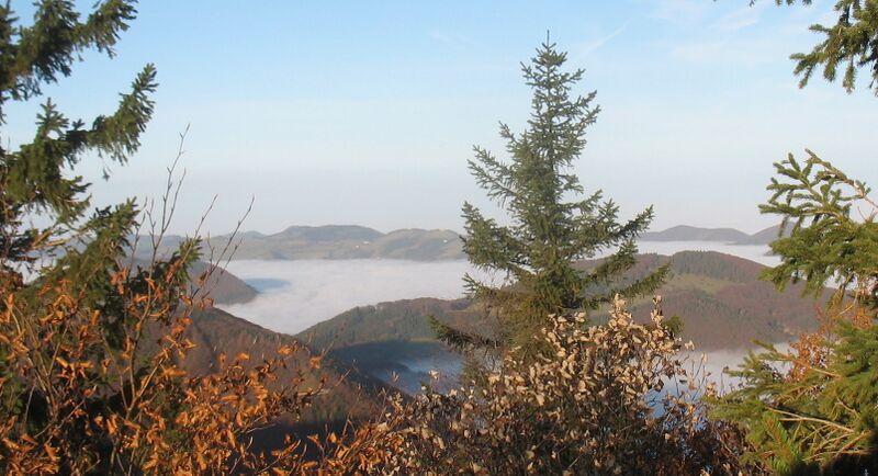 Datei:Nebelsee um Sonnberg.jpg
