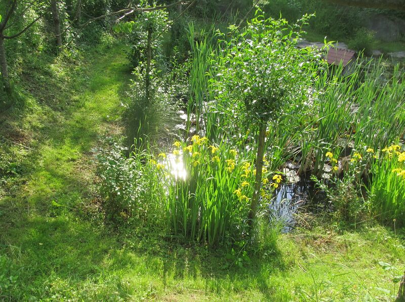 Datei:SG Südgarten Biotopweg.jpg