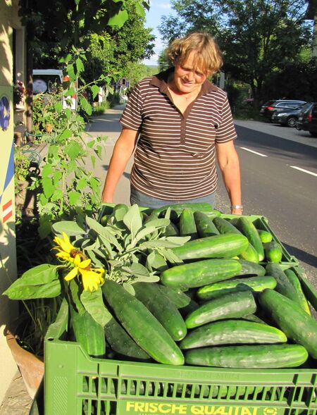Frieda mit einer Gurkenernte