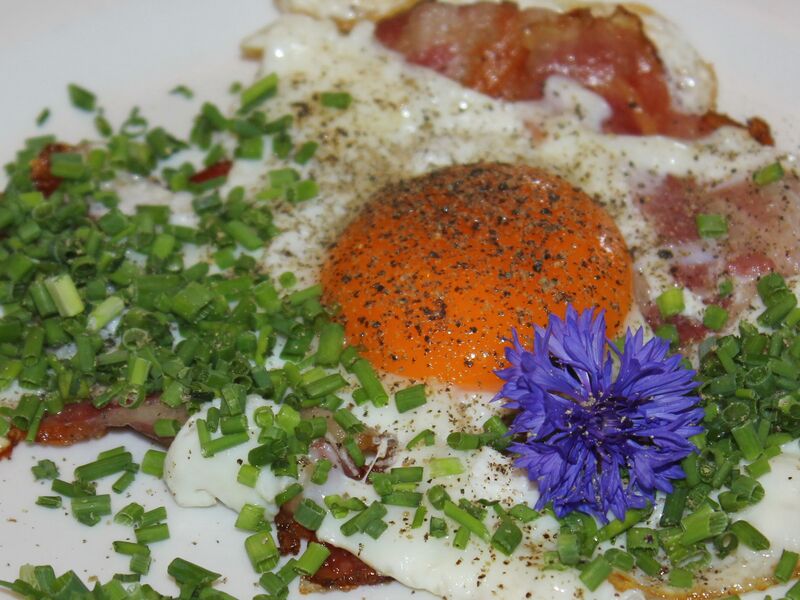 Datei:SK-Spiegelei Frühstück.jpg