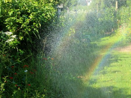 selten notwendig: giessen