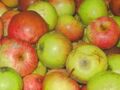 Wirtschaftsäpfel